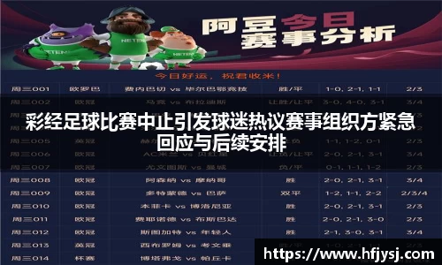 彩经足球比赛中止引发球迷热议赛事组织方紧急回应与后续安排