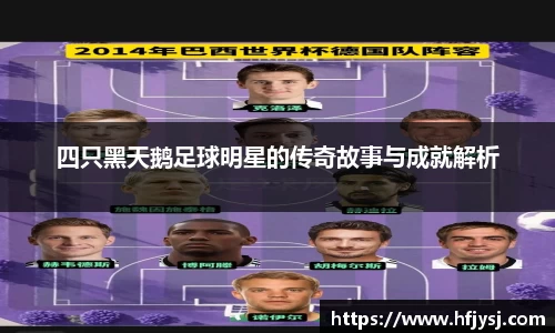 四只黑天鹅足球明星的传奇故事与成就解析